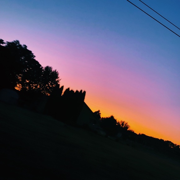 Meet your Posher, Cass - Picture 1 of 1